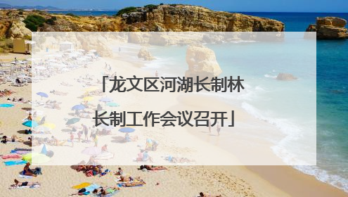 龙文区河湖长制林长制工作会议召开