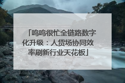 鸣鸣很忙全链路数字化升级：人货场协同效率刷新行业天花板