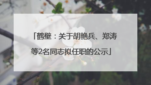 鹤壁：关于胡艳兵、郑涛等2名同志拟任职的公示