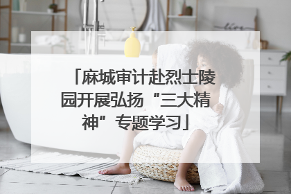 麻城审计赴烈士陵园开展弘扬“三大精神”专题学习