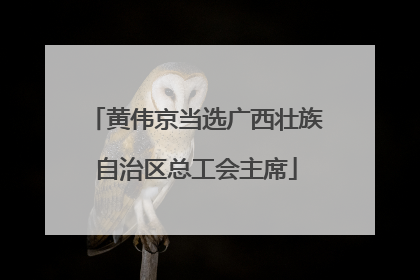 黄伟京当选广西壮族自治区总工会主席