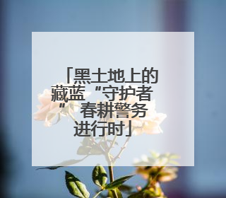 黑土地上的藏蓝“守护者” 春耕警务进行时
