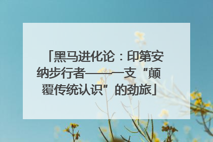 黑马进化论：印第安纳步行者——一支“颠覆传统认识”的劲旅