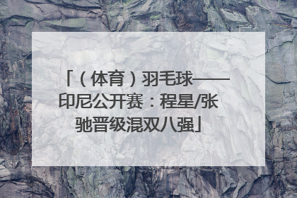 （体育）羽毛球——印尼公开赛：程星/张驰晋级混双八强