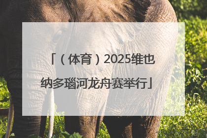 （体育）2025维也纳多瑙河龙舟赛举行