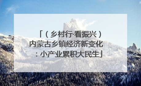 （乡村行·看振兴）内蒙古乡镇经济新变化：小产业累积大民生