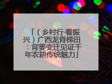 （乡村行·看振兴）广西龙脊梯田：背篓变迁见证千年农耕传统魅力