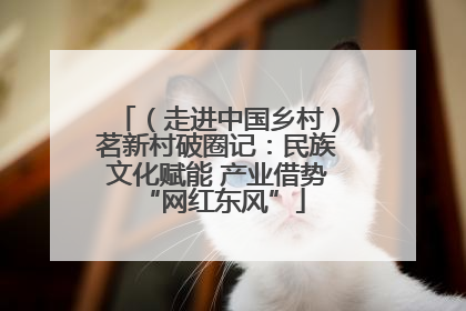 （走进中国乡村）茗新村破圈记：民族文化赋能 产业借势 “网红东风”