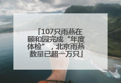107只雨燕在颐和园完成“年度体检”，北京雨燕数量已超一万只