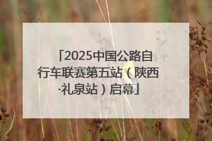 2025中国公路自行车联赛第五站（陕西·礼泉站）启幕