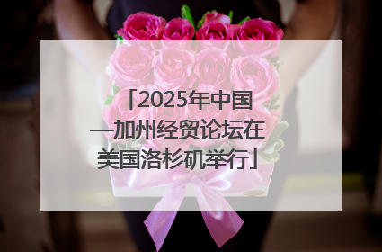 2025年中国—加州经贸论坛在美国洛杉矶举行