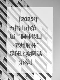 2025年五指山市第三届“桐林假日·老州府杯”足球比赛圆满落幕