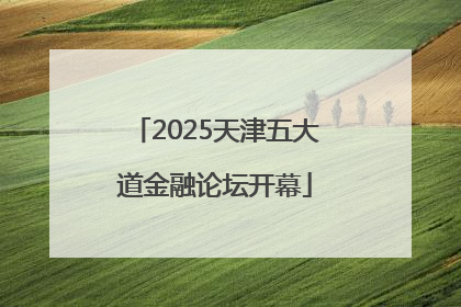 2025天津五大道金融论坛开幕