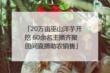 20万亩巫山洋芋开挖 60余名主播齐聚田间直播助农销售