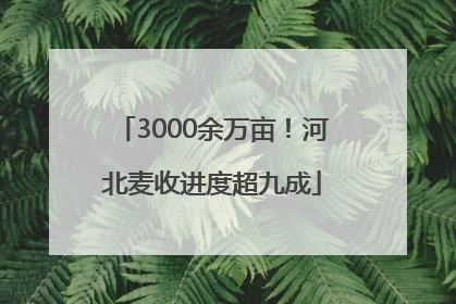 3000余万亩！河北麦收进度超九成