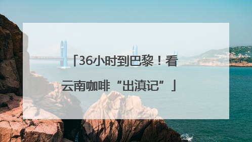 36小时到巴黎！看云南咖啡“出滇记”