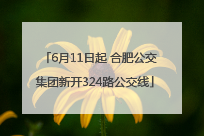 6月11日起 合肥公交集团新开324路公交线