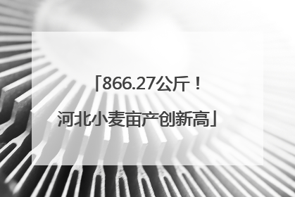 866.27公斤！河北小麦亩产创新高