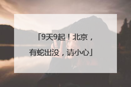 9天9起！北京，有蛇出没，请小心