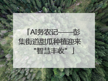 AI务农记——彭集街道甜瓜种植迎来“智慧丰收”