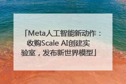 Meta人工智能新动作：收购Scale AI创建实验室，发布新世界模型